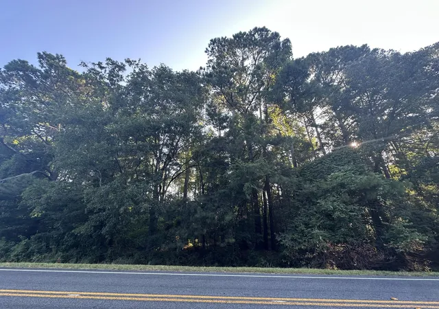 1st image of Lot 3a Elberton Hwy, Lincolnton, GA 30817 | MLS# 98224848