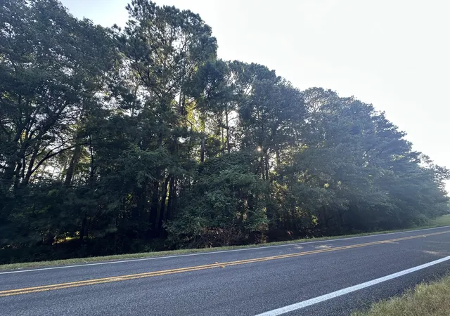 3rd image of Lot 3A Elberton Hwy, Lincolnton, GA 30817 | MLS# 98224848