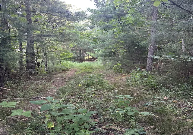 4th image of Lot 3A Elberton Hwy, Lincolnton, GA 30817 | MLS# 98224848