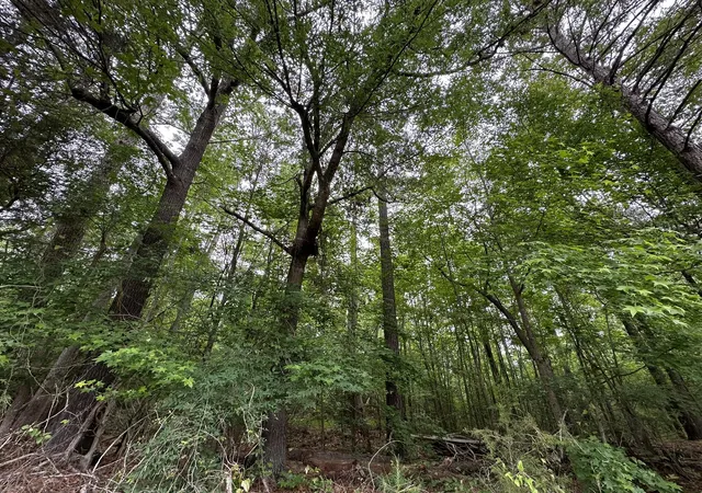 5th image of Lot 3A Elberton Hwy, Lincolnton, GA 30817 | MLS# 98224848