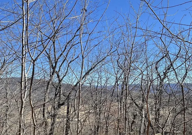 Photo 1 of Land for sale at 60 & 61j Mountain Harbour, Hayesville, NC 28904 | MLS# 98539682 | Listing updated on 2026-07-21