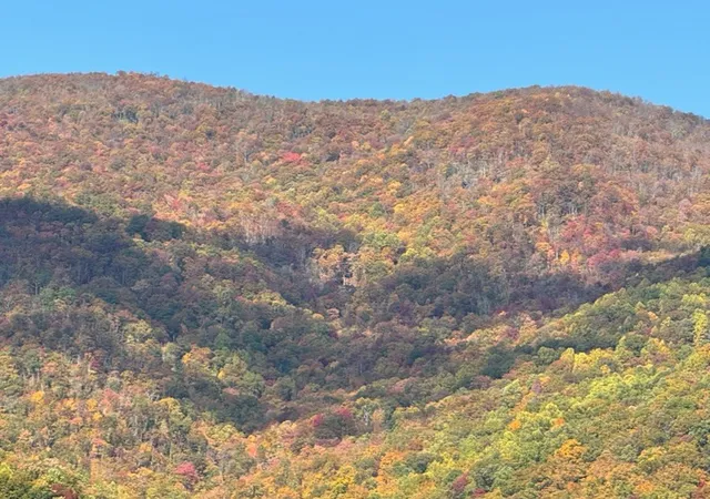 Photo 3 of Land for sale at 10617 Highway 64 E, Hayesville, NC 28904 | MLS# 98544112 | Listing updated on 2026-08-31
