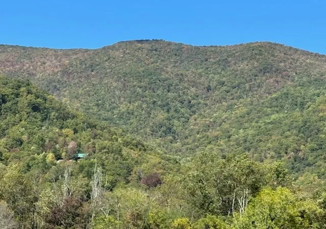 Photo 5 of Land for sale at 10617 Highway 64 E, Hayesville, NC 28904 | MLS# 98544112 | Listing updated on 2026-08-31