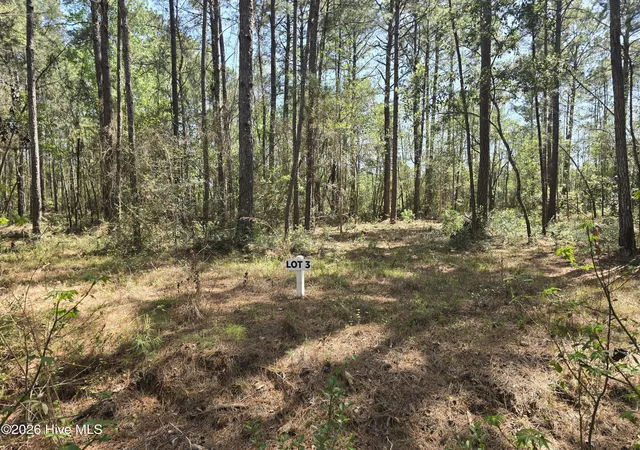 Photo 3 of Land for sale at Lot 3 Renee Dr, Hampstead, NC 28443 | MLS# 100567016 | Listing updated on 2026-04-21