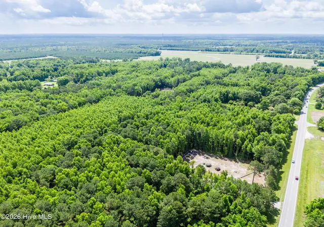5th image of Lot 1 Us Hwy 117 Byp S, Burgaw, NC 28425 | MLS# 100577618