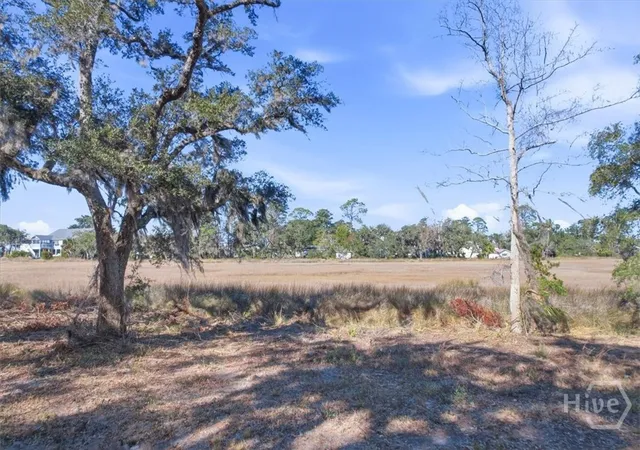Homes for sale in Midway, GA | Lot 6 Bermuda Bluff Ln, Midway, GA 31320 | MLS# SA330033