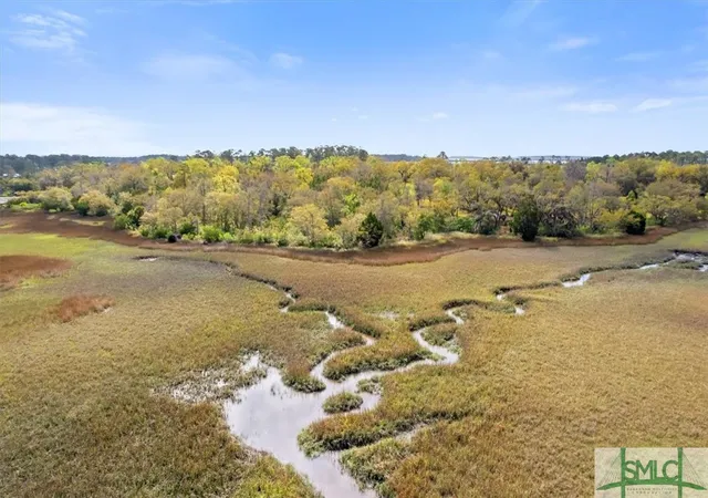 Homes for sale in Midway, GA | Lot 6 Bermuda Bluff Ln, Midway, GA 31320 | MLS# SA330033