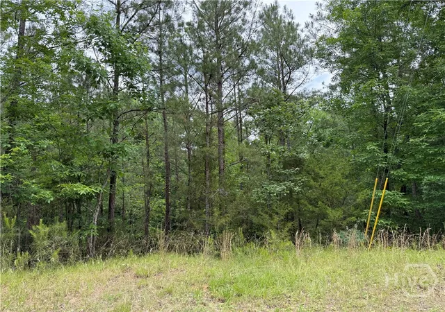 Homes for sale in Elberton, GA | 0 Bramlett Cir, Elberton, GA 30635 | MLS# CL356078
