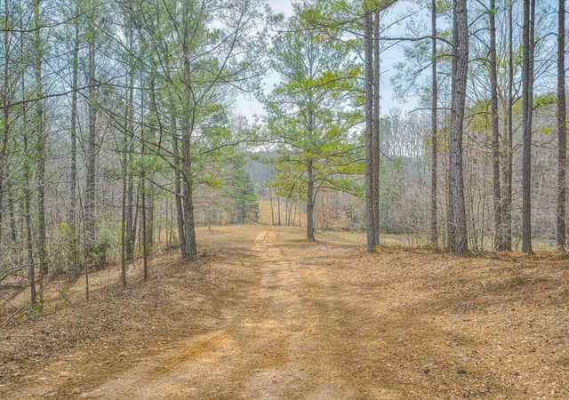Homes for sale in Lincolnton, GA | 1905 Augusta Hwy, Lincolnton, GA 30817 | MLS# 98253023