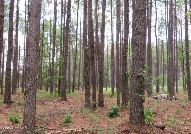 Photo 1 of Land for sale at 3231 Orchard Crk Rd, Oriental, NC 28571 | MLS# 100582940 | Listing updated on 2026-08-18