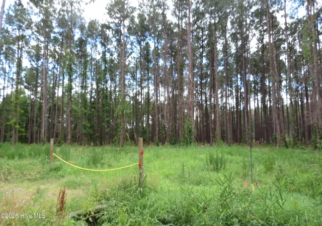 Photo 2 of Land for sale at 3231 Orchard Crk Rd, Oriental, NC 28571 | MLS# 100582940 | Listing updated on 2026-08-18