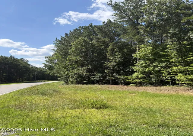Homes for sale in Ellerbe, NC | Tbd Green Rd, Ellerbe, NC 28338 | MLS# 100585777