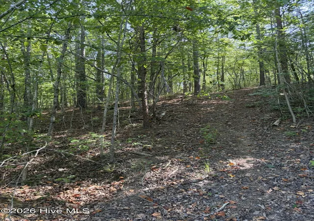Homes for sale in Ellerbe, NC | Tbd Green Rd, Ellerbe, NC 28338 | MLS# 100585777