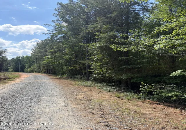 Homes for sale in Ellerbe, NC | Tbd Green Rd, Ellerbe, NC 28338 | MLS# 100585777