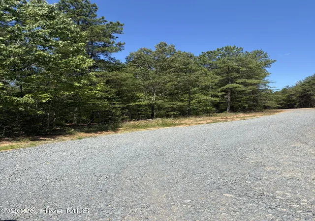 Homes for sale in Ellerbe, NC | Tbd Green Rd, Ellerbe, NC 28338 | MLS# 100585777