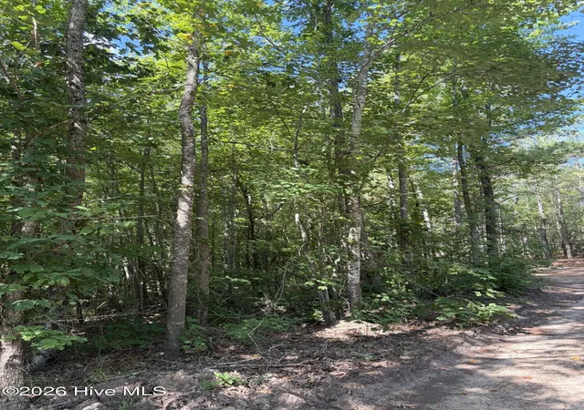 Homes for sale in Ellerbe, NC | Tbd Green Rd, Ellerbe, NC 28338 | MLS# 100585777