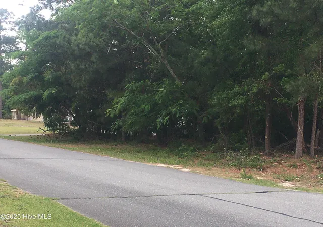 Photo 3 of Land for sale at 300 Crestwood Dr, Goldsboro, NC 27530 | MLS# 100572618 | Listing updated on 2026-08-18