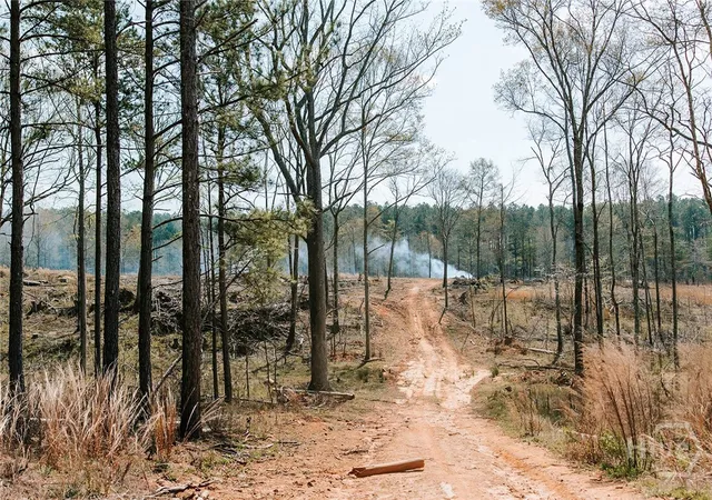 Homes for sale in Lexington, GA | 0 Washington Rd, Lexington, GA 30648 | MLS# CL352378