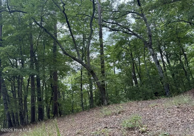 Photo 18 of Land for sale at Lot #46 Pine Cvs Ln, Murphy, NC 28906 | MLS# 100596949 | Listing updated on 2026-08-18