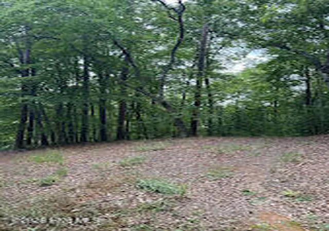 Photo 1 of Land for sale at Lot #46 Pine Cvs Ln, Murphy, NC 28906 | MLS# 100596949 | Listing updated on 2026-08-18