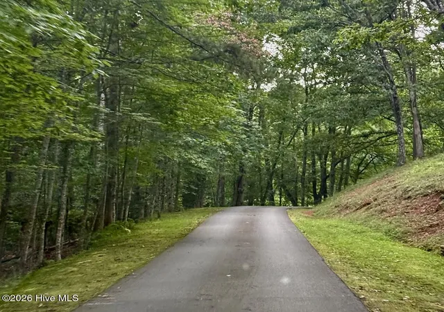 Photo 2 of Land for sale at Lot #46 Pine Cvs Ln, Murphy, NC 28906 | MLS# 100596949 | Listing updated on 2026-08-18