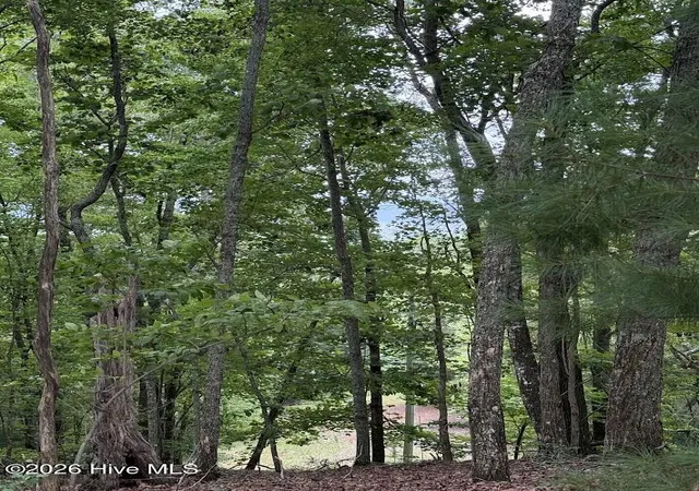 Photo 4 of Land for sale at Lot #46 Pine Cvs Ln, Murphy, NC 28906 | MLS# 100596949 | Listing updated on 2026-08-18