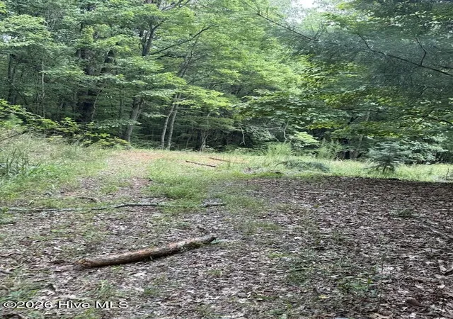 Photo 5 of Land for sale at Lot #46 Pine Cvs Ln, Murphy, NC 28906 | MLS# 100596949 | Listing updated on 2026-08-18