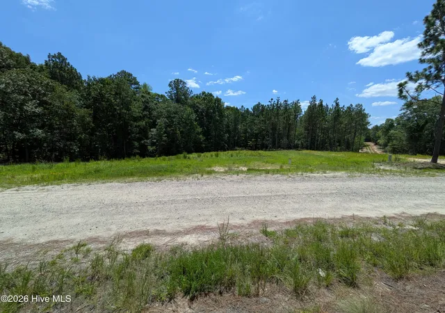 Photo 1 of Land for sale at 274 Charles Rd, Eagle Springs, NC 27242 | MLS# 100591249 | Listing updated on 2026-08-01