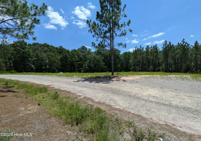 Photo 3 of Land for sale at 274 Charles Rd, Eagle Springs, NC 27242 | MLS# 100591249 | Listing updated on 2026-08-01