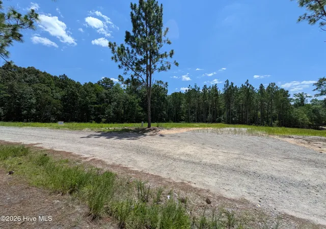 Photo 4 of Land for sale at 274 Charles Rd, Eagle Springs, NC 27242 | MLS# 100591249 | Listing updated on 2026-08-01