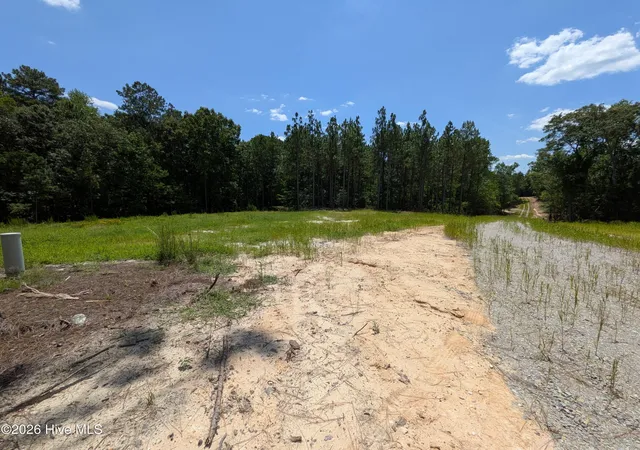 Photo 5 of Land for sale at 274 Charles Rd, Eagle Springs, NC 27242 | MLS# 100591249 | Listing updated on 2026-08-01