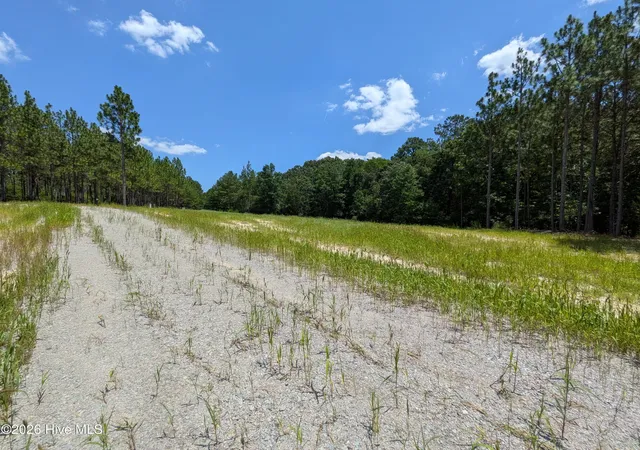 Photo 6 of Land for sale at 274 Charles Rd, Eagle Springs, NC 27242 | MLS# 100591249 | Listing updated on 2026-08-01