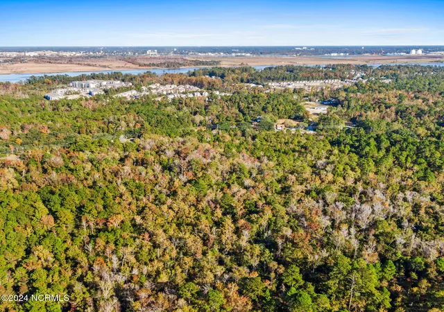 4th image of 10295 Chappell Loop Rd Se, Belville, NC 28451 | MLS# 100474460