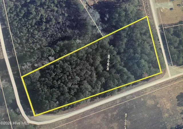 Homes for sale in Bennettsville, SC | Tbd Curly Ln, Bennettsville, SC 29512 | MLS# 100583360
