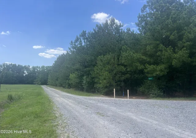 Homes for sale in Bennettsville, SC | Tbd Curly Ln, Bennettsville, SC 29512 | MLS# 100583360