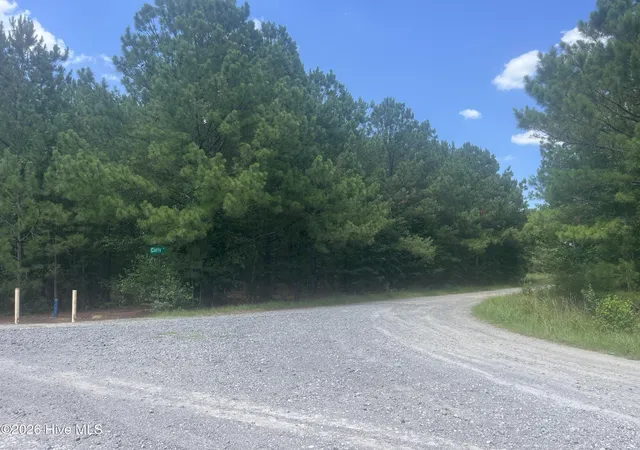 Homes for sale in Bennettsville, SC | Tbd Curly Ln, Bennettsville, SC 29512 | MLS# 100583360