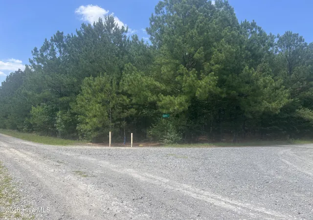 Homes for sale in Bennettsville, SC | Tbd Curly Ln, Bennettsville, SC 29512 | MLS# 100583360