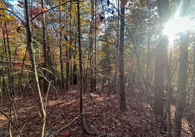 Photo 1 of Land for sale at 0 Dones Dr, Murphy, NC 28906 | MLS# 98523634 | Listing updated on 2026-07-29