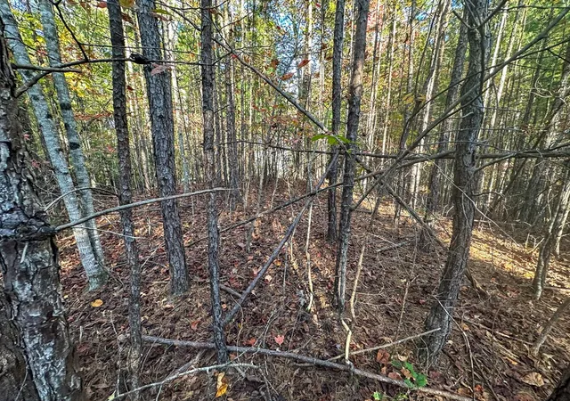 Photo 2 of Land for sale at 0 Dones Dr, Murphy, NC 28906 | MLS# 98523634 | Listing updated on 2026-07-29