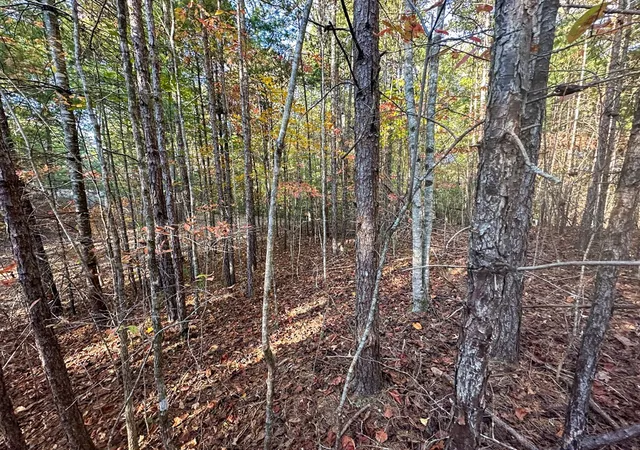 Photo 3 of Land for sale at 0 Dones Dr, Murphy, NC 28906 | MLS# 98523634 | Listing updated on 2026-07-29