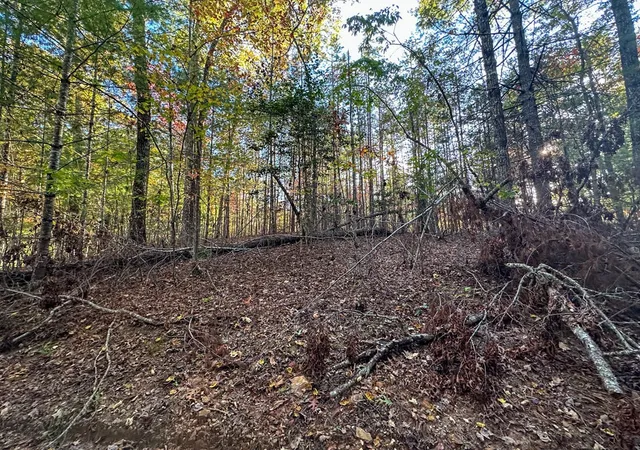 Photo 3 of Land for sale at 0 Dones Dr, Murphy, NC 28906 | MLS# 98523634 | Listing updated on 2026-07-29