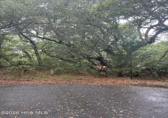 Photo 3 of Land for sale at 8 Leopard Frog Ct, Bald Head Island, NC 28461 | MLS# 100583143 | Listing updated on 2026-06-19