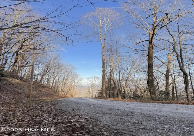 1st image of 16 & 17 Ridgecrest Dr, Lake Lure, NC 28746 | MLS# 100571176