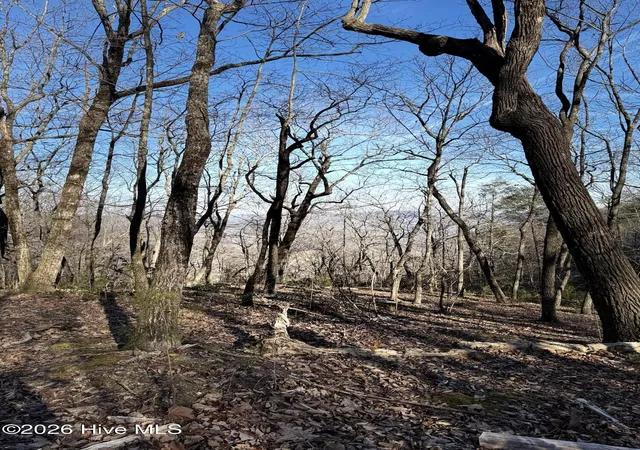 4th image of 16 & 17 Ridgecrest Dr, Lake Lure, NC 28746 | MLS# 100571176