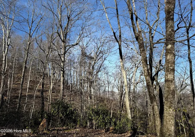 5th image of 16 & 17 Ridgecrest Dr, Lake Lure, NC 28746 | MLS# 100571176