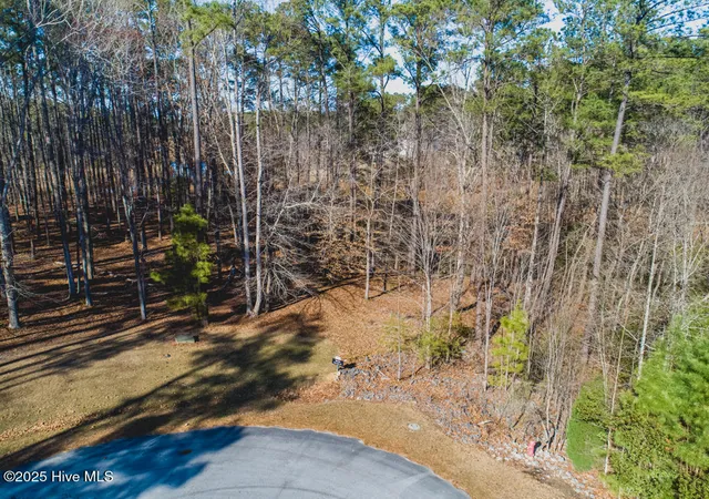 Photo 3 of Land for sale at 220 Golden Fern Ln, Arapahoe, NC 28510 | MLS# 100181220 | Listing updated on 2026-08-31