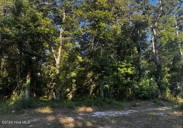 Photo 1 of Land for sale at 2425 Sunset Harbor Rd Se, Bolivia, NC 28422 | MLS# 100583475 | Listing updated on 2026-09-06