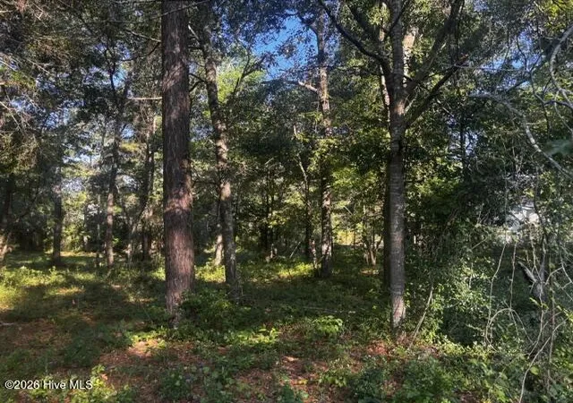 Photo 3 of Land for sale at 2425 Sunset Harbor Rd Se, Bolivia, NC 28422 | MLS# 100583475 | Listing updated on 2026-09-06