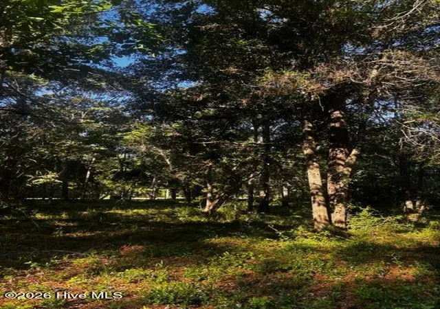 Photo 3 of Land for sale at 2425 Sunset Harbor Rd SE, Bolivia, NC 28422 | MLS# 100583475 | Listing updated on 2026-09-06