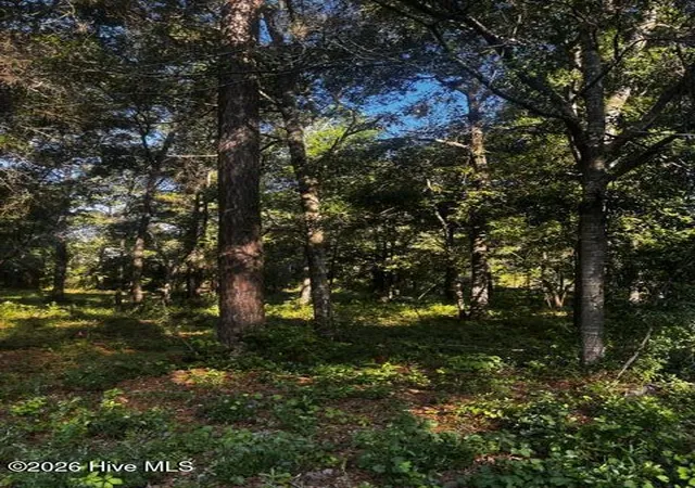 Photo 4 of Land for sale at 2425 Sunset Harbor Rd SE, Bolivia, NC 28422 | MLS# 100583475 | Listing updated on 2026-09-06